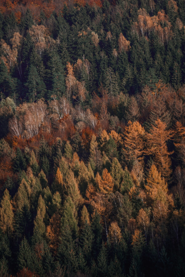 Indian Summer