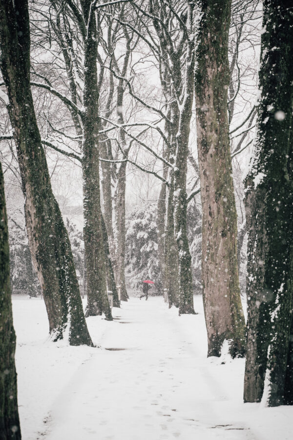 A Winter's Day