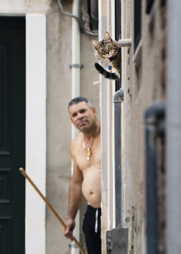 Cat and Owner